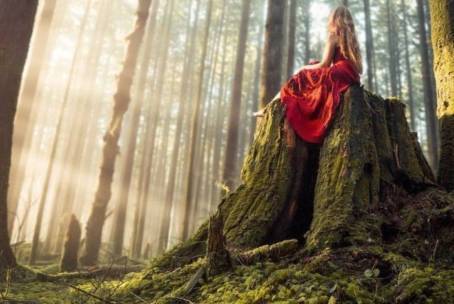 Natural Experience Sensoriale – Inside/Outside